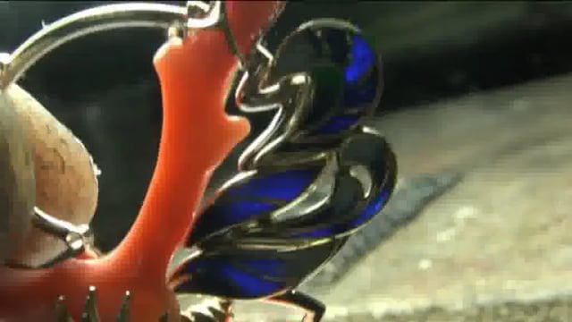 CORAL & ANGELFISH 5