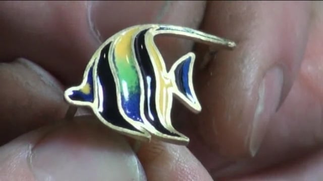 CORAL & ANGELFISH 2